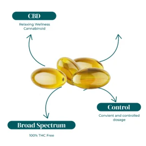 REVIVE BS CBD SOFTGELS THC FREE INFOGRAPHIC