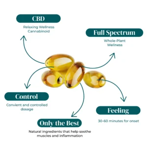 REVIVE FS CBD SOFTGELS INFOGRAPHIC