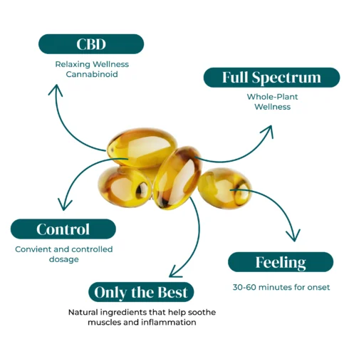 REVIVE_FS_CBD_SOFTGELS_INFOGRAPHIC REVIVE_FS_CBD_SOFTGELS_INFOGRAPHIC