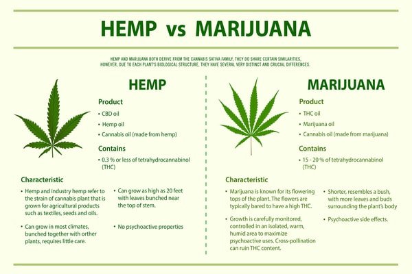 is hemp better than tobacco Smoking vs. Tobacco: Which One More Harmful? Is Hemp the Same Thing