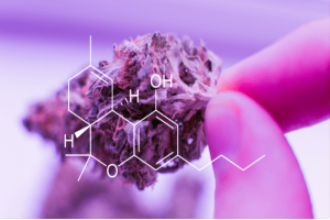 A type of THC known as Delta-8 used as product.