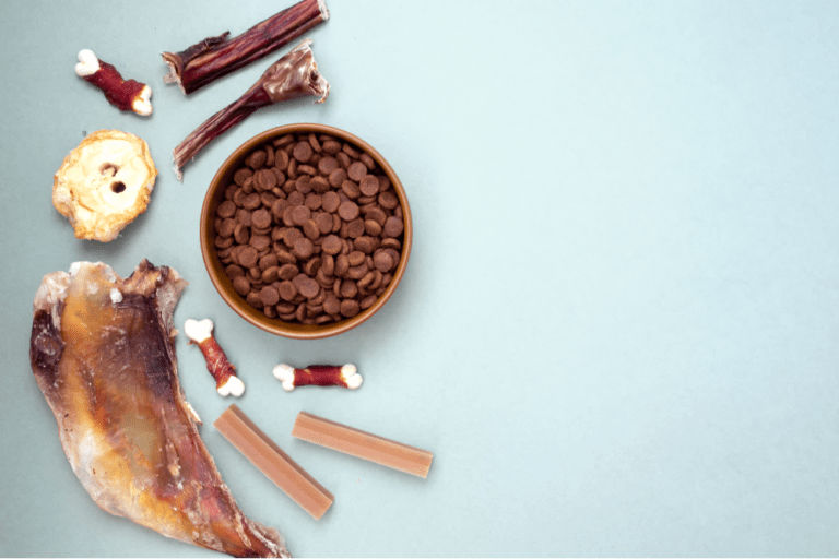 dog foods