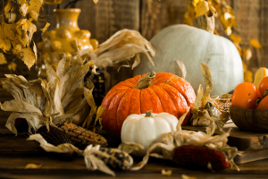 Pumpkins set up in a festive holiday fashion 
