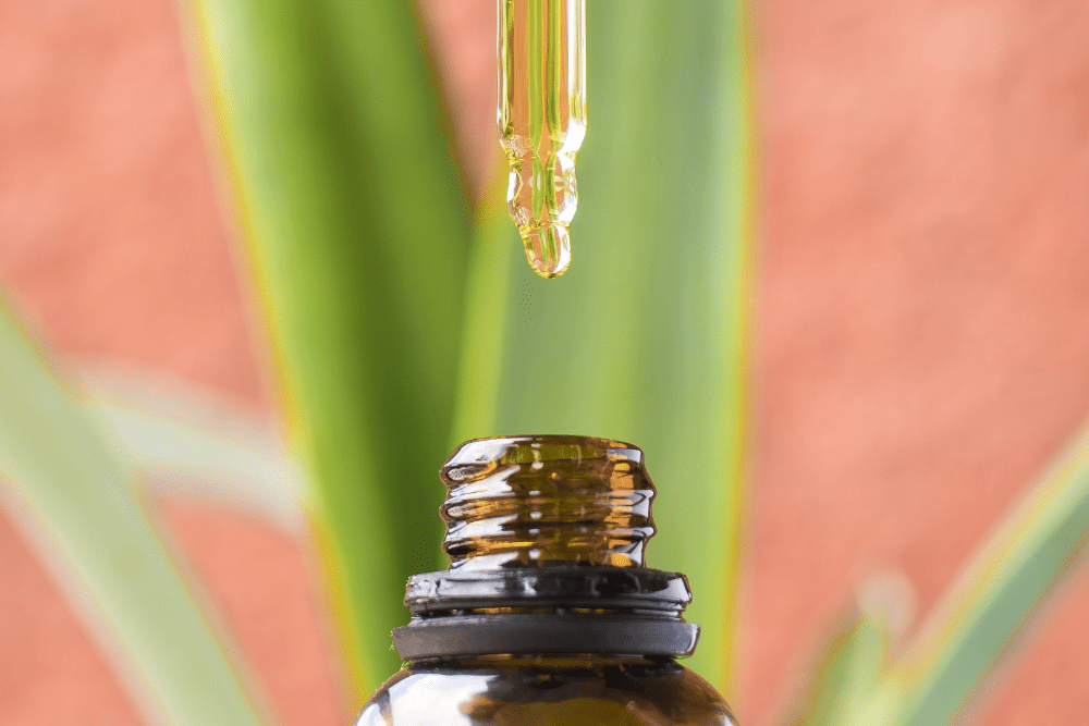 CBD Tincture with Hemp plant in the back drop