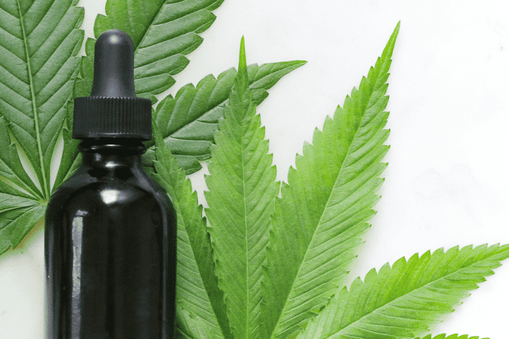 CBD Oil