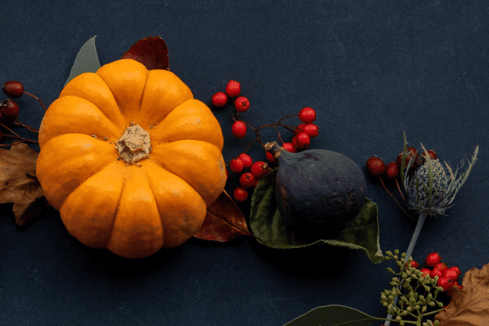 thanksgiving decorations