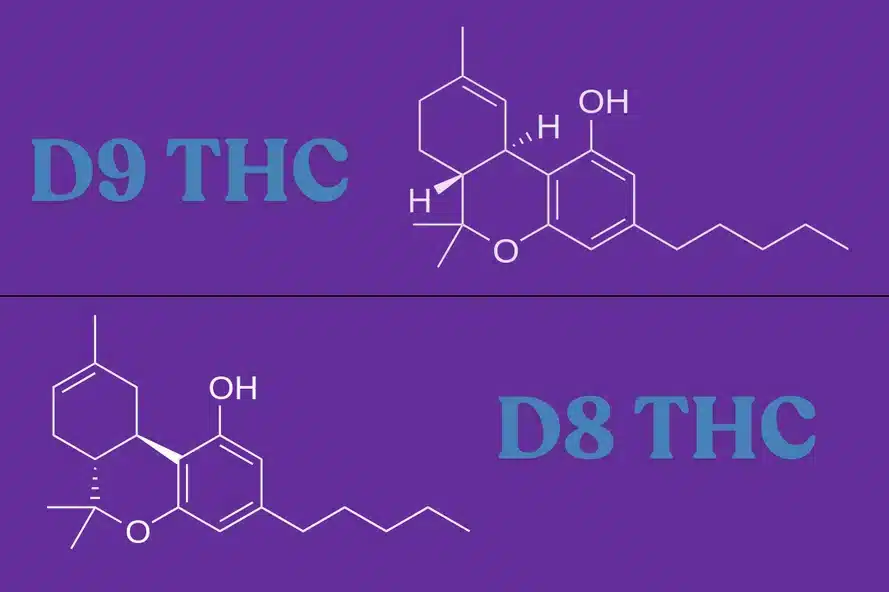 Delta 9 versus Delta 8 chemical structure