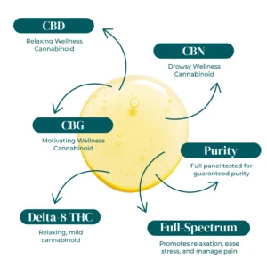 Shop CBD Oil Tinctures | The Hemp Doctor