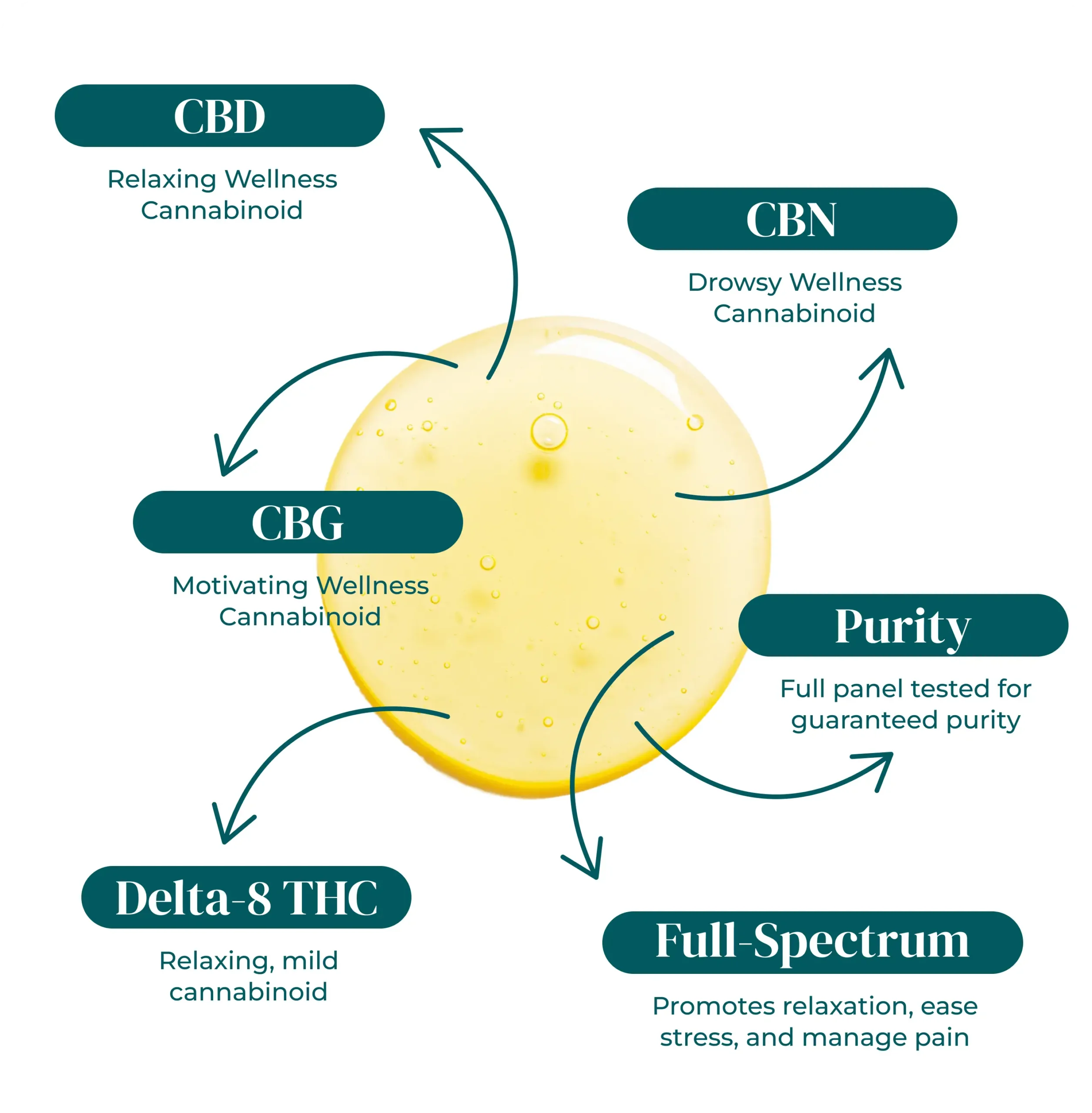 Full Spectrum High Octane CBD/CBG/CBN/D8 - The Hemp Doctor