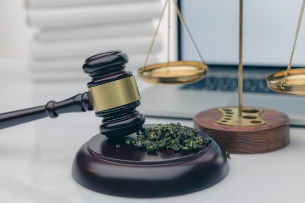 weed law