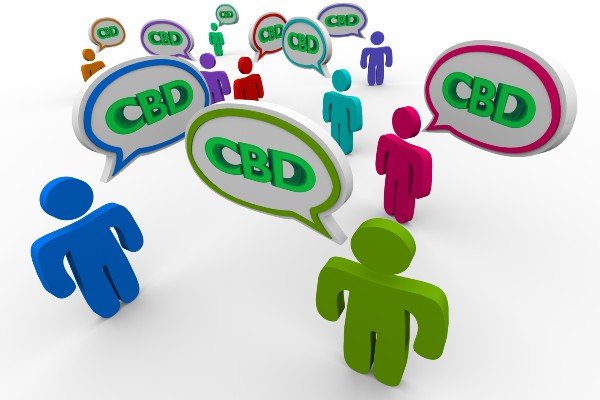 cbd news