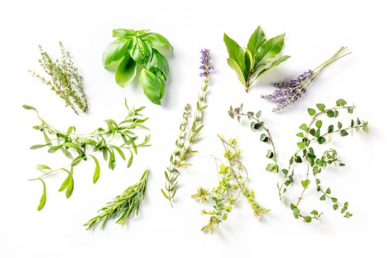 Herbs to mix with weed