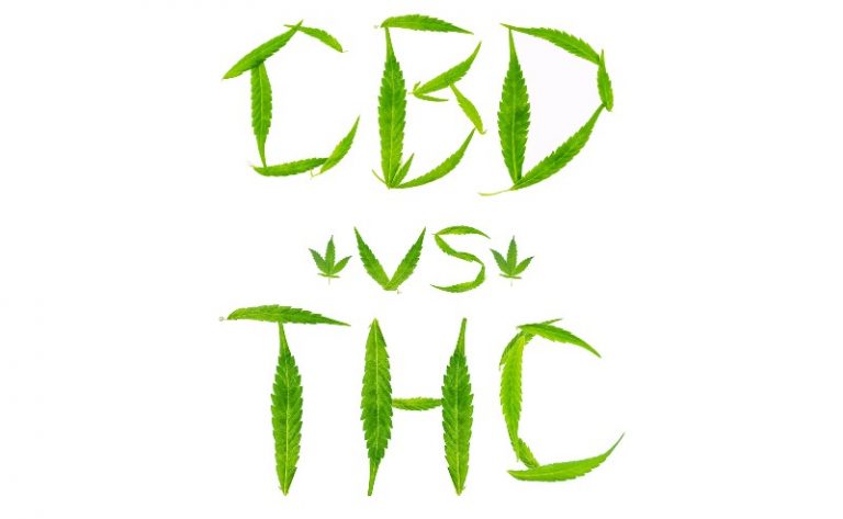 CBD vs THC