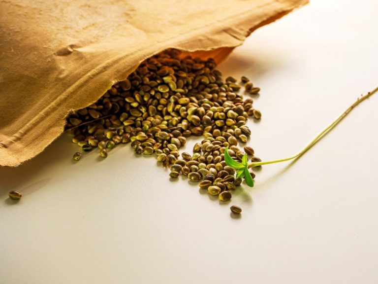 weed seed