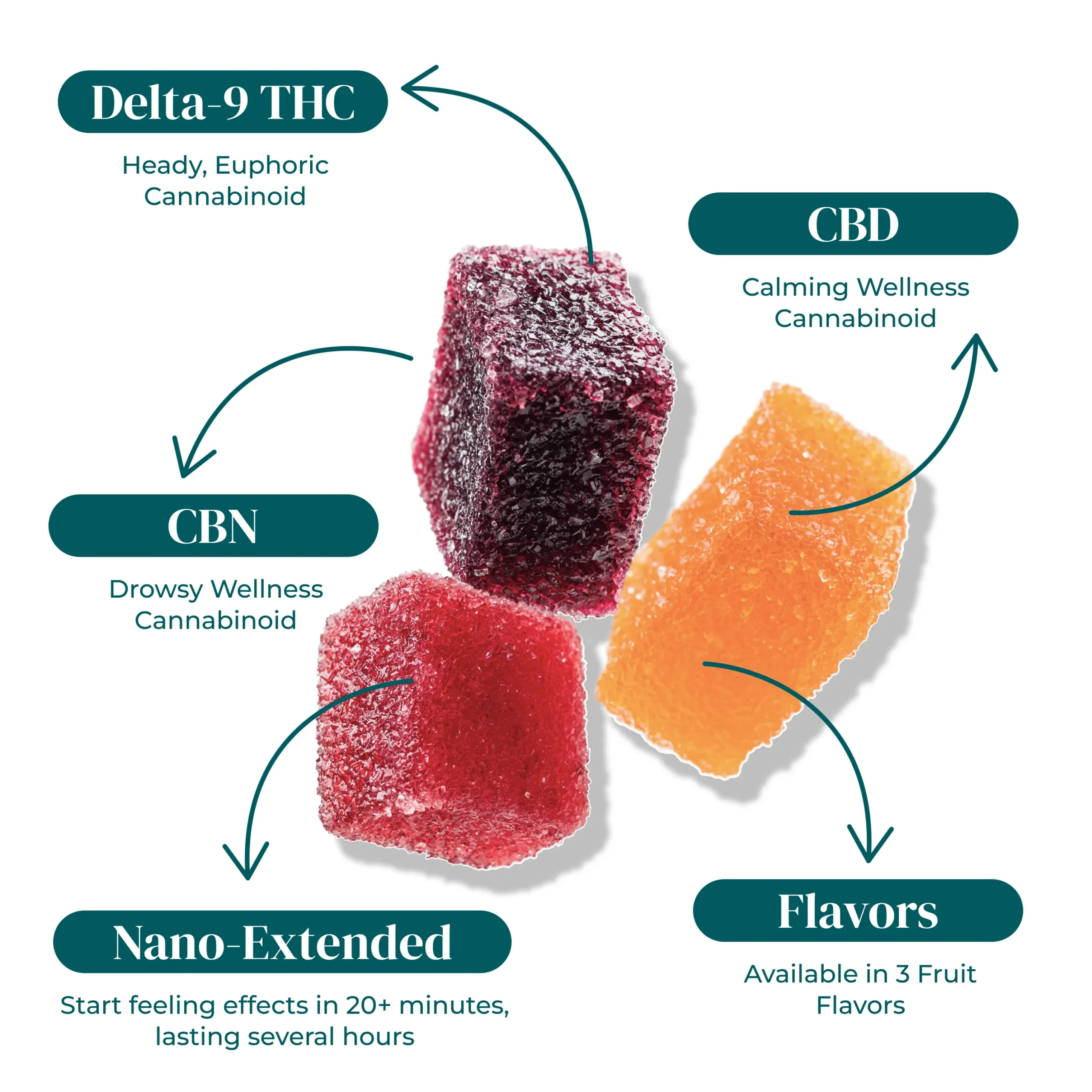 D9/CBD/CBN Nighttime Gummies - The Hemp Doctor