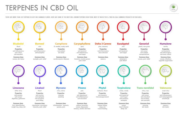 Terpenes Cbd Oil