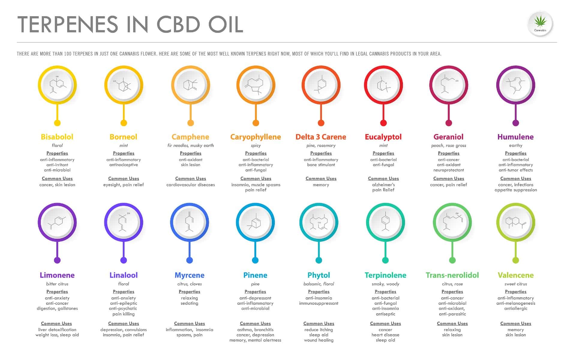 Terpenes Cbd Oil
