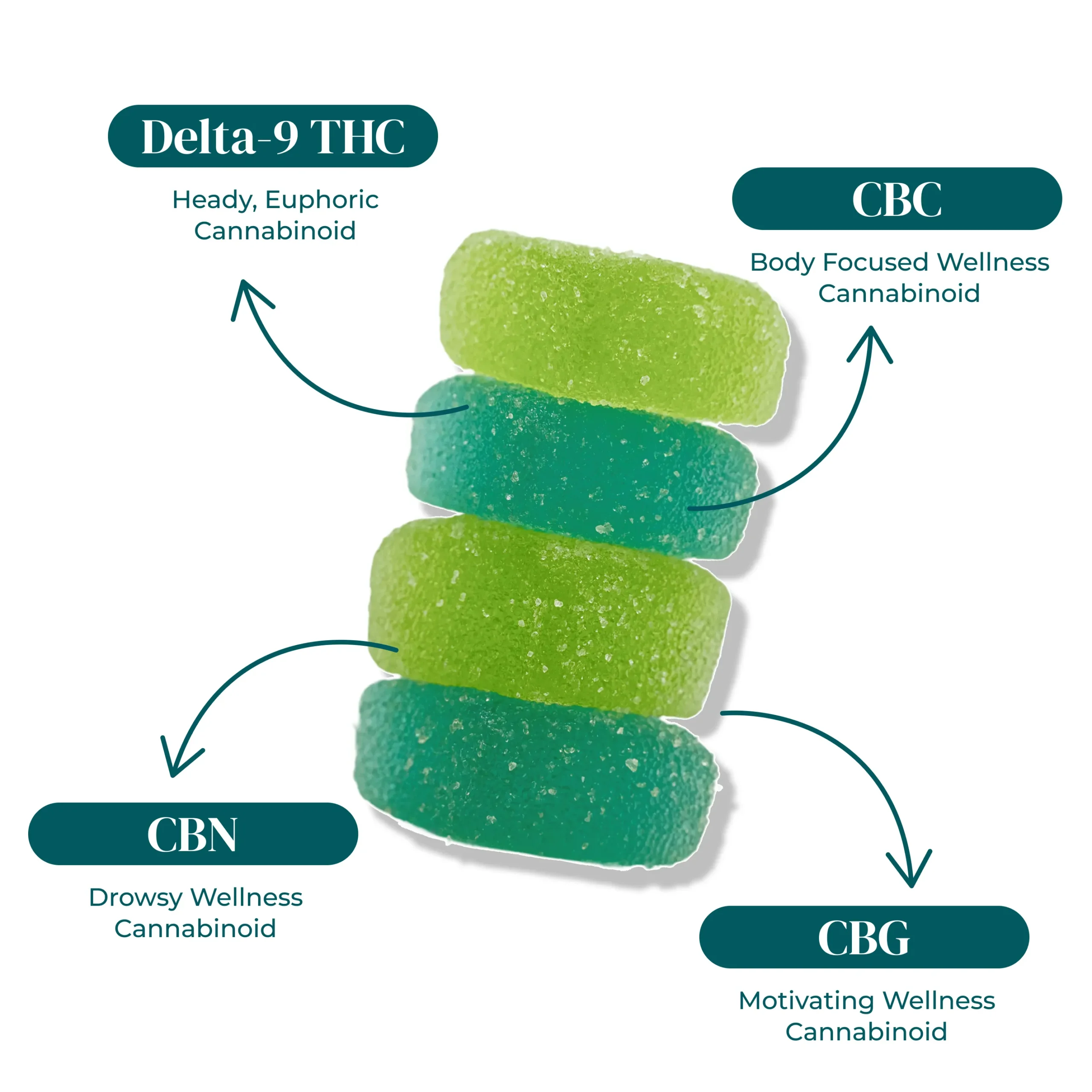 ドクダミ Buy Nano Delta 9 Gummies Downshift | D9 CBC CBG CBN | The Hemp Doctor