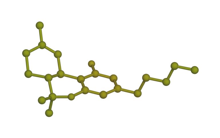 Delta 9 THC Tetrahydrocannabinol