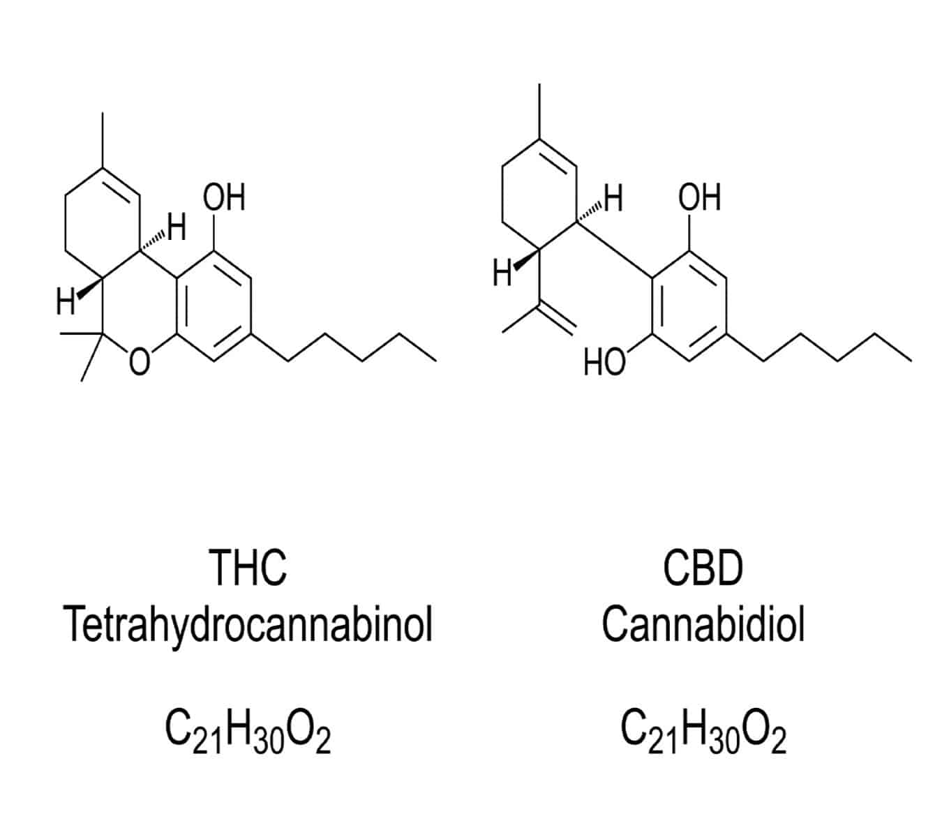 Can you take CBD and Delta 8 together?
