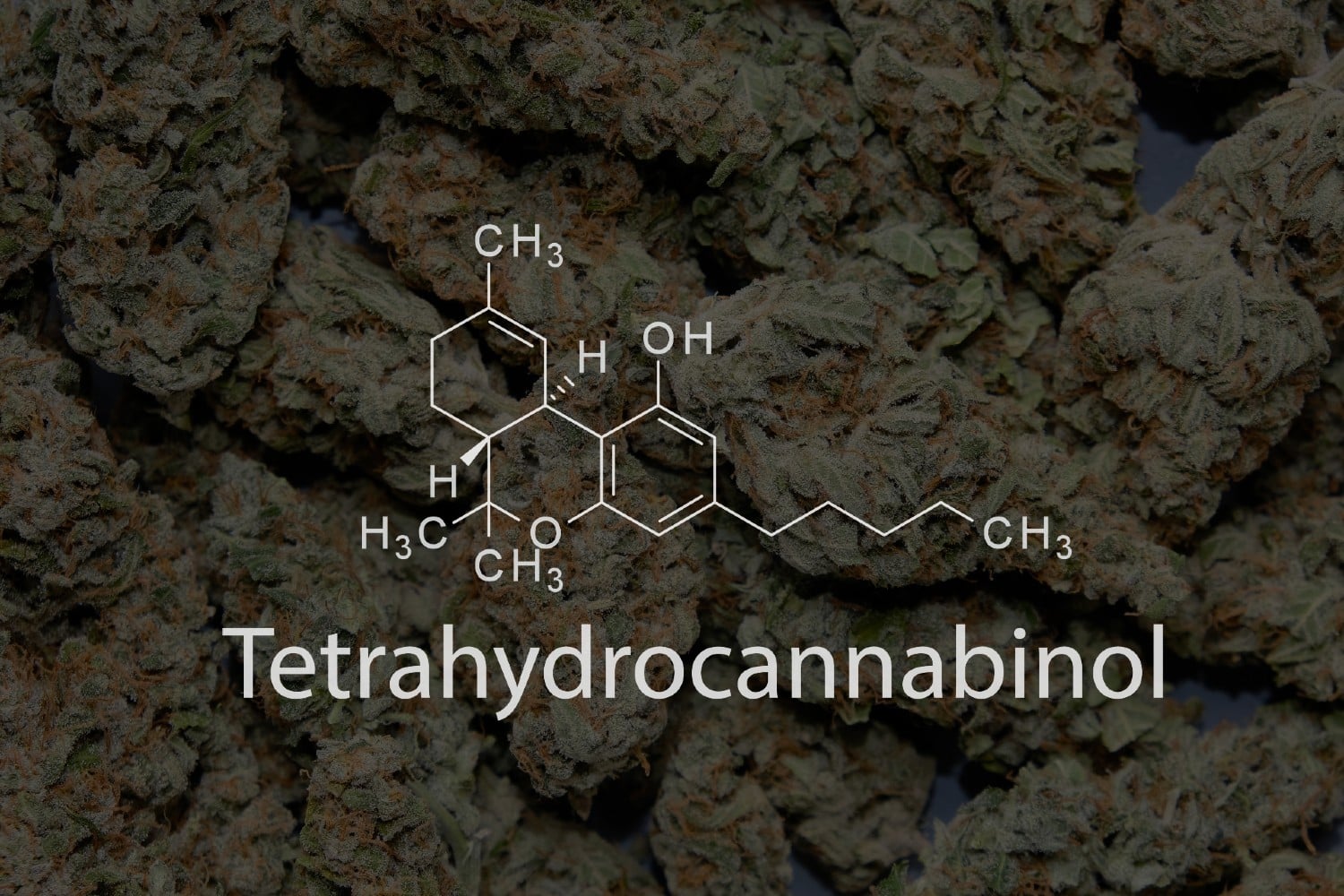 Delta-8 Psychoactive Less Potent Than D9