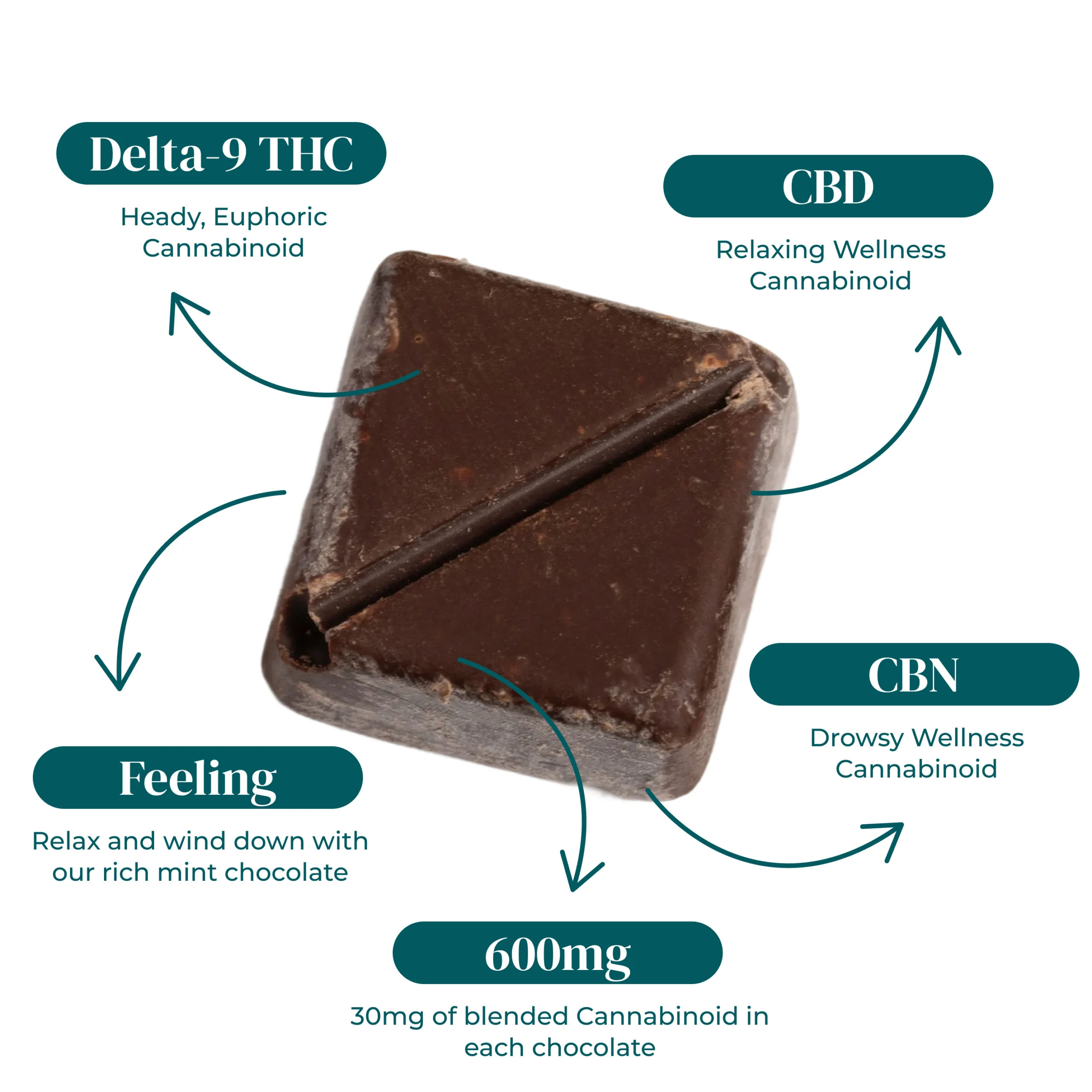 Eybna テルペン 香料 CBD CBN CBG 10ml ドバイチョコレート Delta 9 Dubai Chocolate Cones – 10mg THC + 250mg CBD – A Gift From