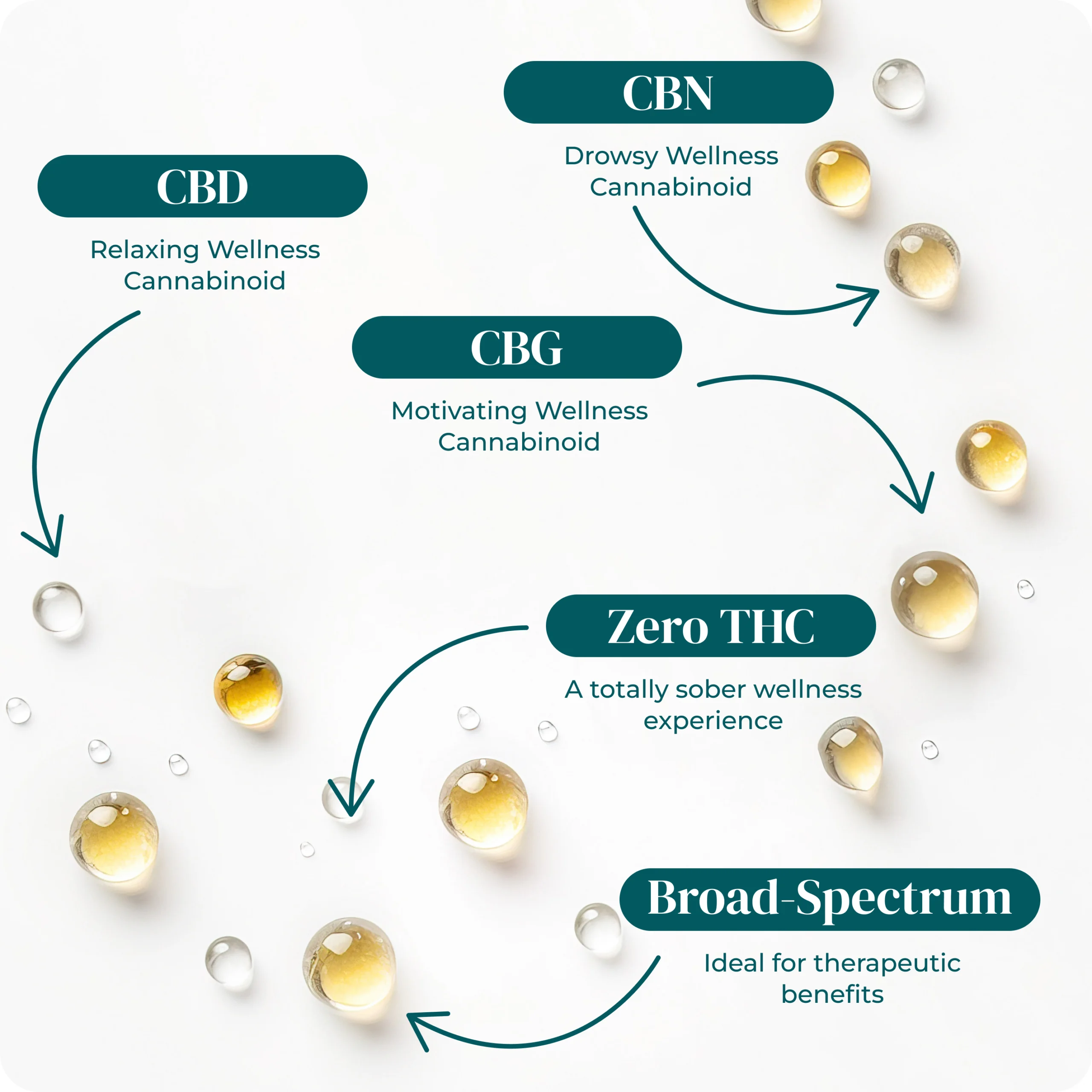 Buy High Octane THC Free CBD Oil Tinctures - The Hemp Doctor