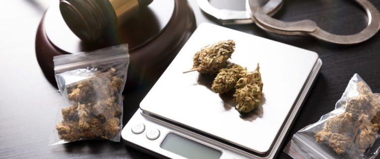 Why Marijuana/Hemp was made illegal