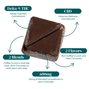 MINT COFFEE CHOCOLATE INFOGRAPHIC MINT COFFEE CHOCOLATE INFOGRAPHIC
