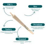 1.25G THCA PRE-ROLLS_INFOGRAPHIC