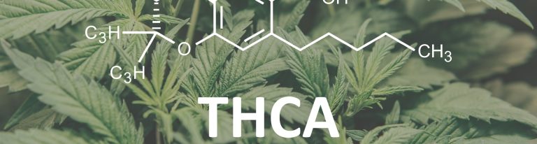 THCA Flower