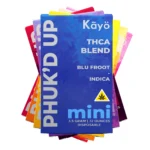 MINI MAIN