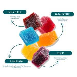 PU GUMMY INFO PU GUMMY INFO