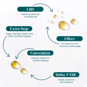 33_1_USDA_ORGANIC_CBD_TINCTURE_INFOGRAPHIC 33 1 USDA ORGANIC CBD TINCTURE INFOGRAPHIC