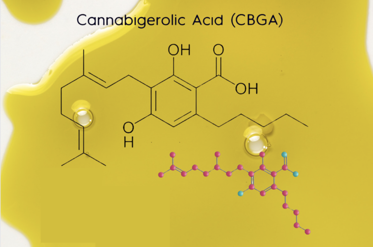 Everything about CBGA