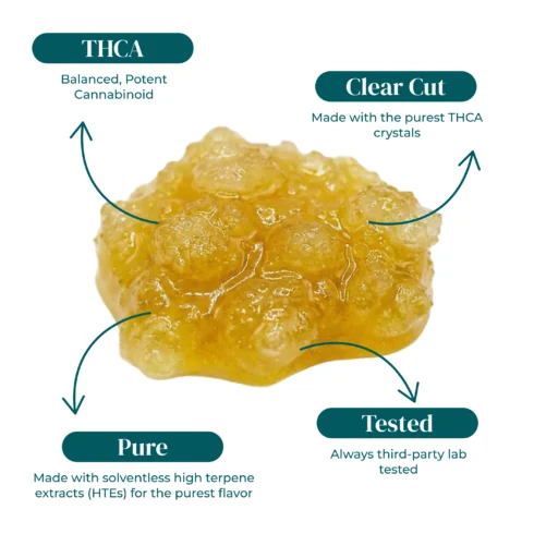 1376MG_THCA_SUGAR_DIAMOND_SAUCE_2G_INFOGRAPHIC 1376MG_THCA_SUGAR_DIAMOND_SAUCE_2G_INFOGRAPHIC