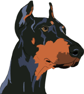 Ruger illustration