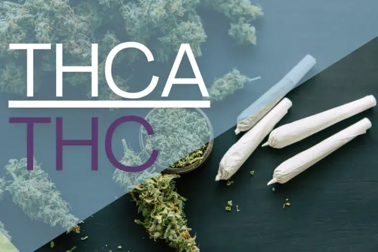 THCA buds and THC joints in one frame.