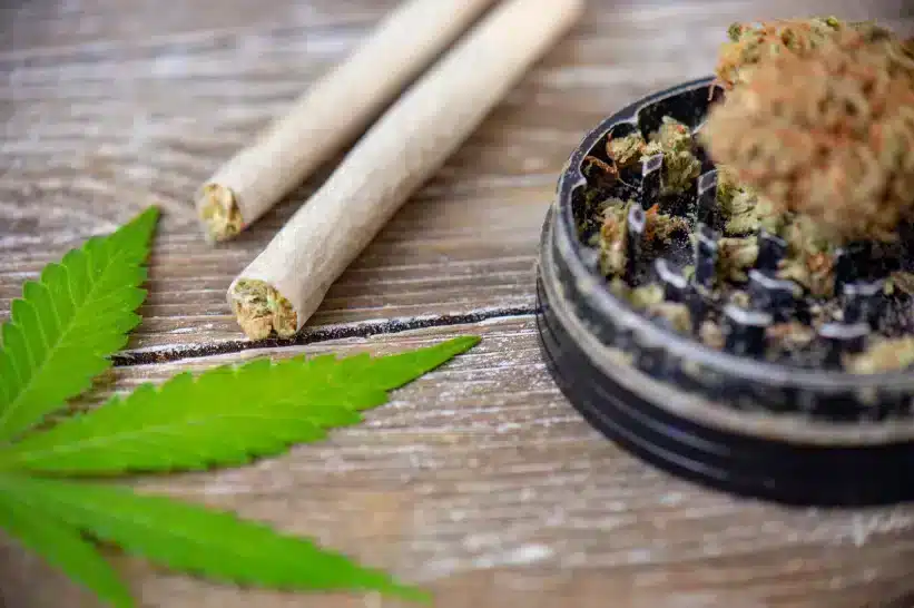 Metal grinder with bits of weed on top of a wooden table