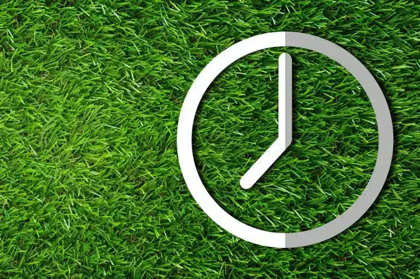 Clock laying over a bed of grass