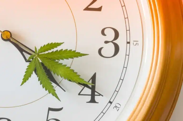 A close up of a clock with its hand resembling a cannabis flower.