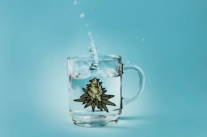 a water splashing into a glass with a graphic of a cannabis bud