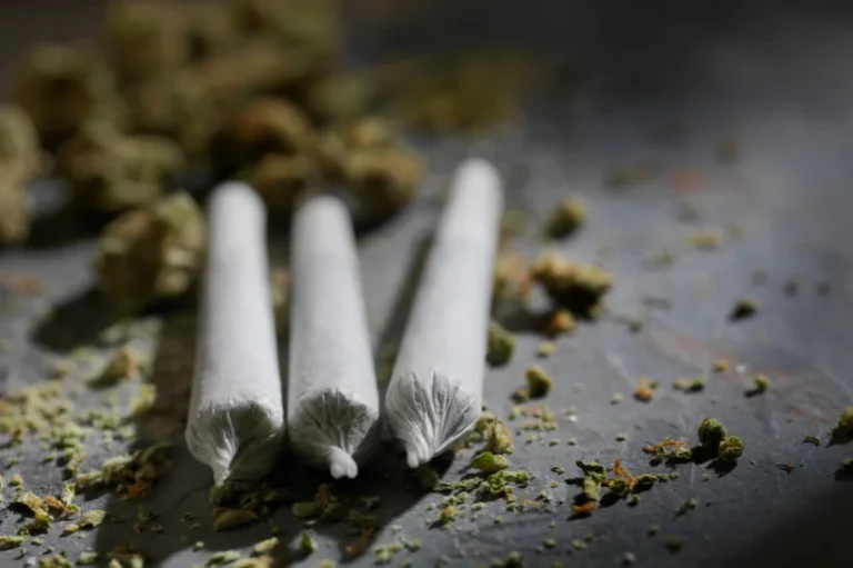 a group of cannabis pre-rolls on a table