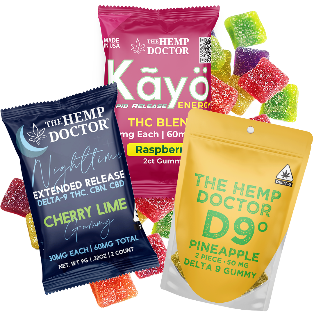 Intro Samples Bundle
