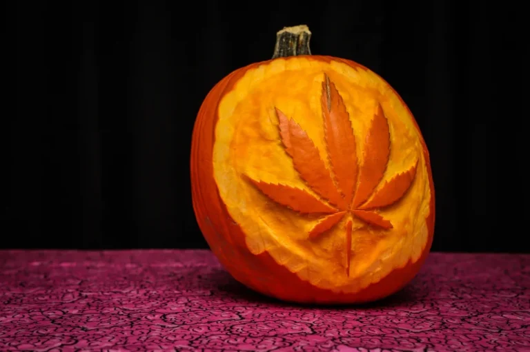 a carved pumpkin with a cannabis leaf carved on it in celebration of halloween weed