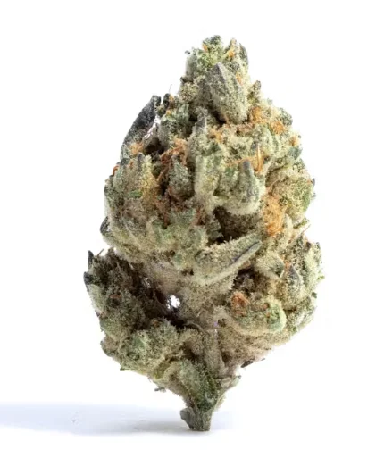 Cereal Killer Strain Close Up