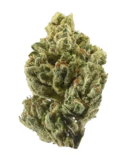 Ghost Cookies Strain