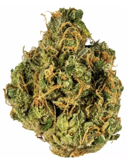 Grape Monster Strain Bud Close Up