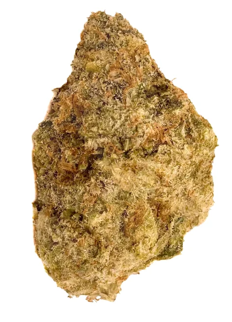 Zombie Cookies Strain