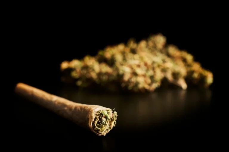 Backwood blunt with weed trimmings behind.